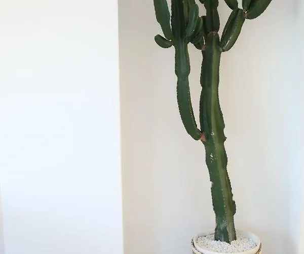 Freistiel 4 公寓 哈滕海姆